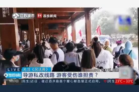 导游改行程致游客在购物店摔倒，致10级伤残谁担责？视频封面