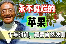 他耗时数十年，种出不喷农药的苹果，竟因受到了高级文明的指点视频封面