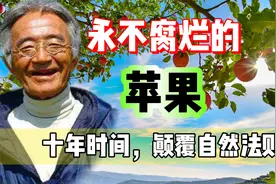 他耗时数十年，种出不喷农药的苹果，竟因受到了高级文明的指点视频封面