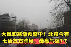 大风和寒潮预警中！北京今有七级左右阵风，最高气温7℃视频封面