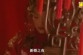 【猫视频】半小时一口气看完《橘子红了》！年轻的周迅清纯美丽视频封面