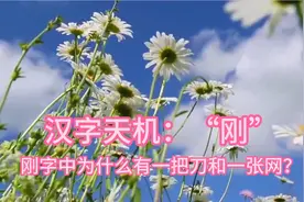 汉字天机：“刚”，刚字中为什么有一把刀和一张网？视频封面