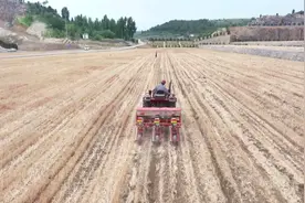 废弃矿山变“沃土良田” 岱岳区生态修复取得新成效视频封面