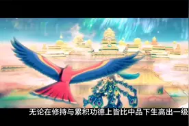 极乐世界亲历记16-中品中生的境界视频封面