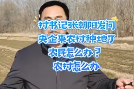 村书记张朝阳发问：央企来农村种地了，农民怎么办？农村怎么办？视频封面