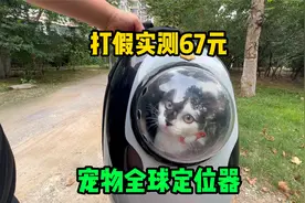 打假实测67元宠物定位器，全球定位走到哪里都丢不了，是真的吗？视频封面