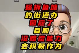 强拆鱼塘的街道办回应了目前没赔偿能力，会积极作为视频封面