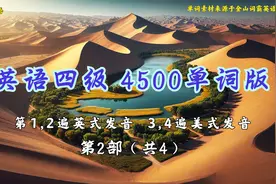 英语四级单词 - 4500单词版第2部(共4)视频封面