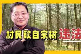 村民砍自家树违法？朱启臻：除房前屋后自己种的，砍伐得办采伐证视频封面