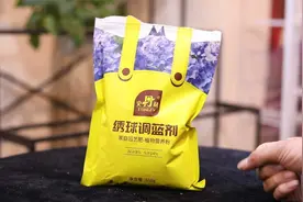 为什么家里养的绣球花开不出蓝色花？园艺师教你，使用绣球调蓝剂