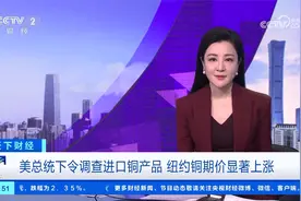 美总统下令调查进口铜产品 纽约铜期价显著上涨视频封面
