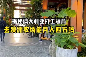 揭秘澳大利亚打工骗局，去澳洲农场打工能月入四万吗？四百零九期视频封面