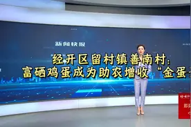 经开区留村镇善南村富硒鸡蛋成为助农增收“金蛋蛋视频封面