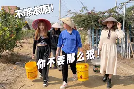 小欣一帮人见鸡就抓，金龙都怕了，下次不带出来玩了！视频封面