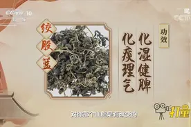 绞股蓝能化湿健脾，陈皮能健脾理气，二者搭配能改善脂肪肝的表现视频封面
