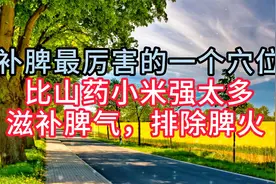 补脾最厉害的一个穴位，比山药小米强太多，滋补脾气，排除脾火视频封面