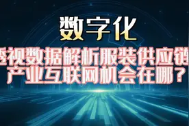 透视数据解析服装供应链，产业互联网的机会在哪？视频封面