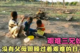 没有父母的照顾，三兄妹从小过着艰难的日子视频封面