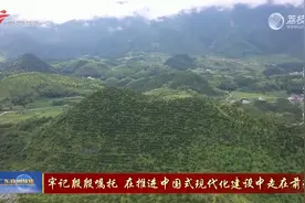 广东：厚植绿色金融发展底色 跑出绿色转型“加速度”视频封面
