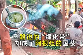 阿根廷国茶，马黛茶，是如何生产出来的？视频封面