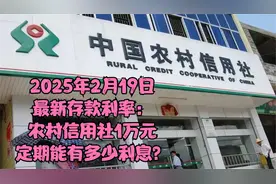 2025年2月19日最新存款利率：农村信用社1万元定期能有多少利息？视频封面