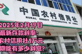 2025年2月19日最新存款利率：农村信用社1万元定期能有多少利息？视频封面