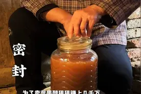 好好的苹果不吃偏要放入石臼中捣碎苹果醋年货跟我dou回家视频封面