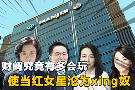 韩国财阀的生活奢靡到难以想象，让飞机掉头让员工下跪视频封面