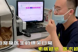 盘点宠物医生的爆笑日常，素质越低 医术越高！笑吐了！视频封面