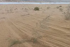 腾格里沙漠治沙植物被车碾轧，管护方：车辆冲断围栏轧毁视频封面