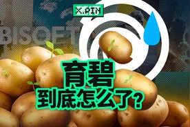育碧，一家永远正确的公司，最终走向失败视频封面