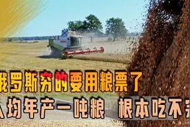 俄罗斯穷的要用粮票了？完全胡扯，人均年产一吨粮，根本吃不完视频封面