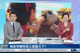 网友学哪吒收土拨鼠火了！笑死。视频封面