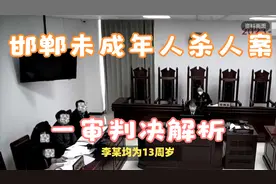 邯郸未成年人杀人案一审判决解析视频封面