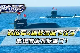 以核为主！中国四种核潜艇同时“下饺子”，敏感核心技术重大突破视频封面