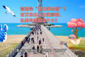 海南是“东北第四省”？百万东北人迁徙海南，这里的原因是什么？视频封面