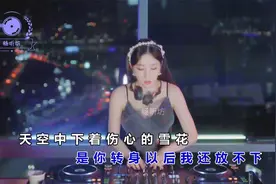 2024车载音乐重低音，听一遍忘不掉的DJ舞曲！视频封面