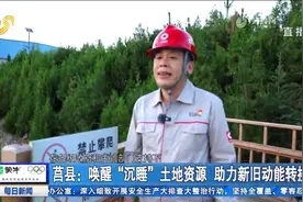 莒县：统筹抓好资源保护、开发利用，促进矿业经济全面转型升级视频封面