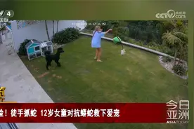 惊险！徒手抓蛇 12岁女童对抗蟒蛇救下爱宠视频封面