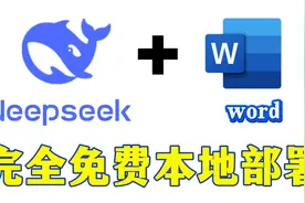 十分钟教会你如何在Word里内置DeepSeek-R1的大模型教程视频封面