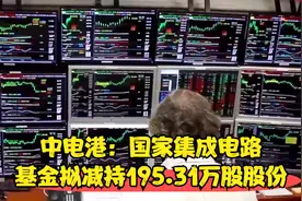 中电港：国家集成电路基金拟减持195.31万股股份视频封面