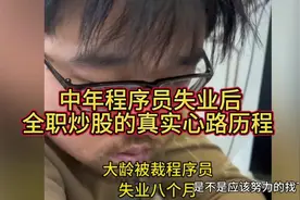 中年程序员失业后全职炒股的真实心路历程视频封面