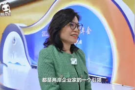 两岸企业家峰会亲商、爱商、扶商，是两岸企业家的一个引领视频封面