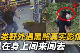 人类野外遇熊真实影像，黑熊趴在女孩身上，整个过程紧张又可怕视频封面