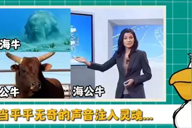 原来热梗都是有趣的发音形成的....视频封面
