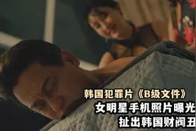 女明星手机照片泄露，揭开韩国财阀奢靡生活，犯罪片《b级文件》视频封面