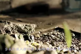 瘦人不长肉怎么办？多吃这4种食物，快速增加体重更容易变胖视频封面