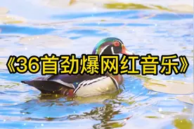 2021年热播嗨曲串烧《36首劲爆网红音乐》快来一起收藏欣赏吧