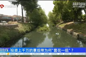 扬州市长上线|投资上千万的景观带为何“昙花一现”？视频封面