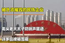 被外资摧毁的民族企业，龙头老大太子奶销声匿迹，许多品牌被雪藏视频封面